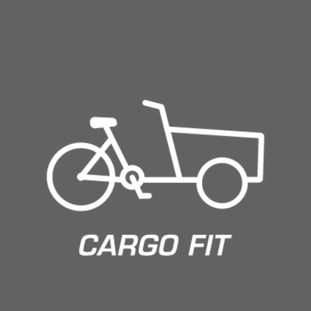 Cargo Fit